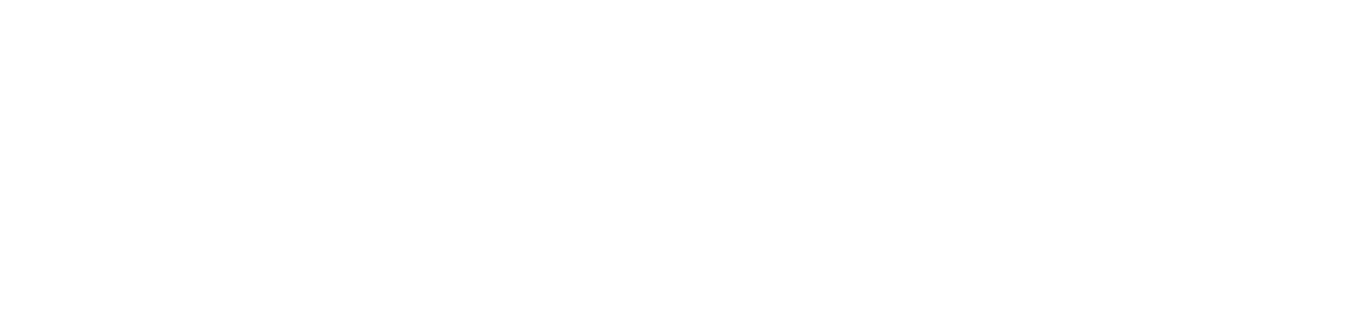 Satellite 2026